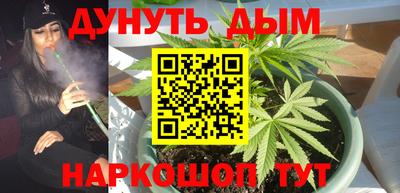 стафф Донецк