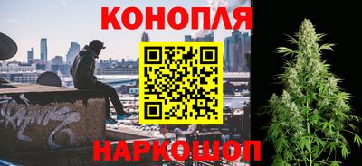 стафф Донецк