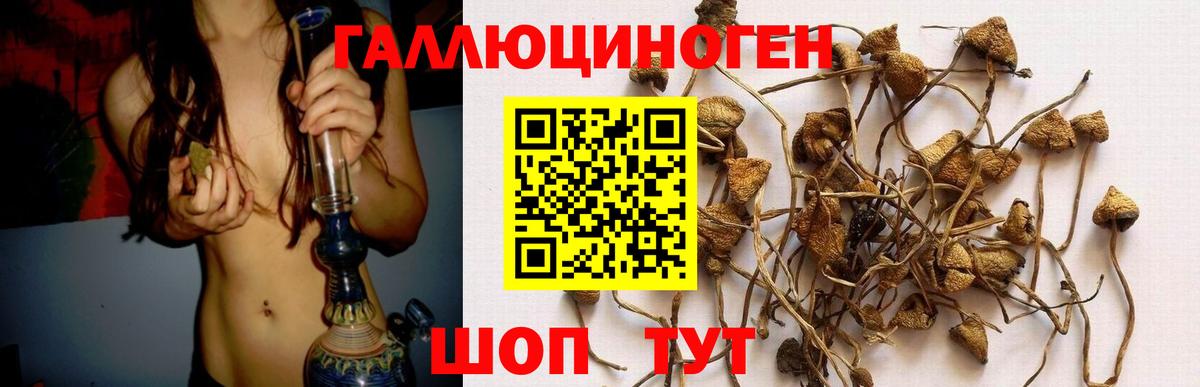 Псилоцибиновые грибы мухоморы Лангепас